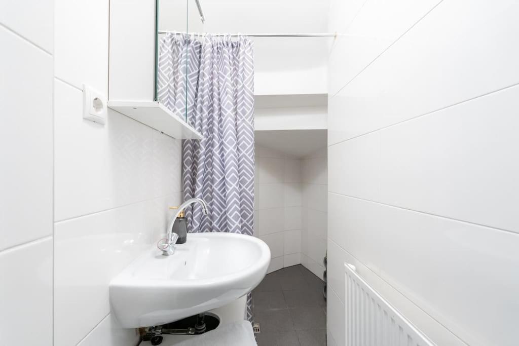 Spacious Belvedere Apartment Vienna