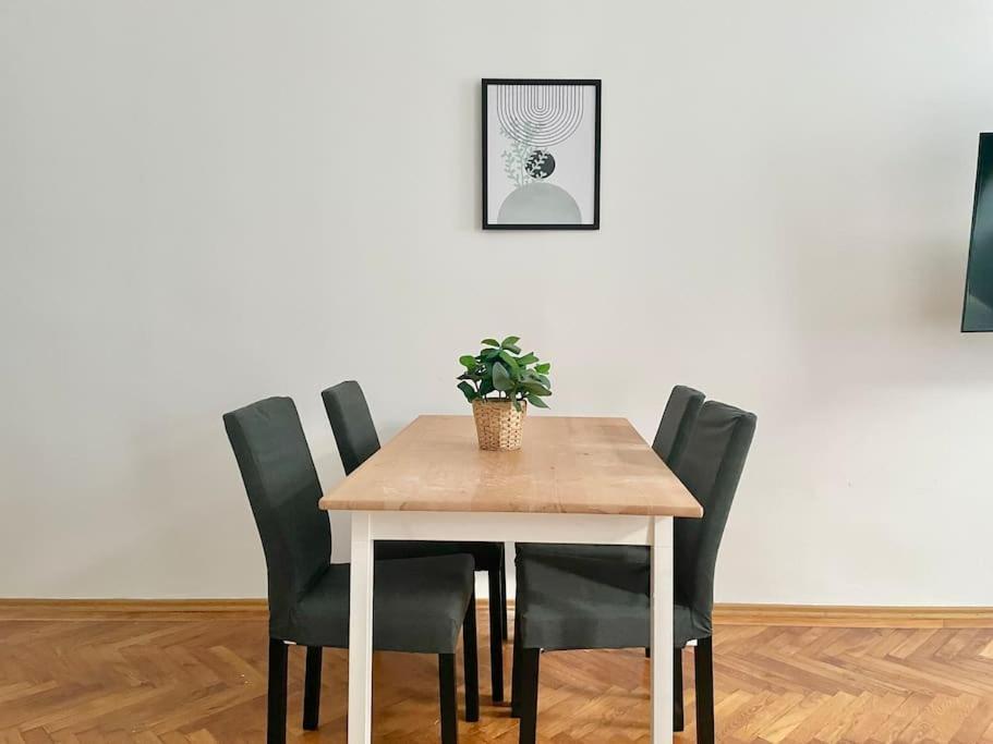 Apartment Sunny Central