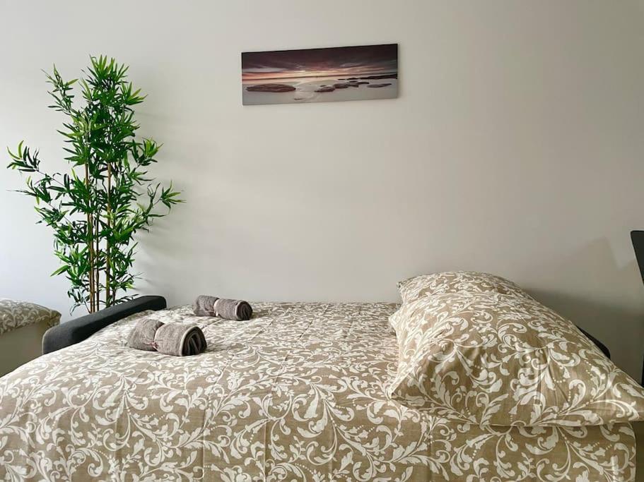 Stylish With Garden Appartamento