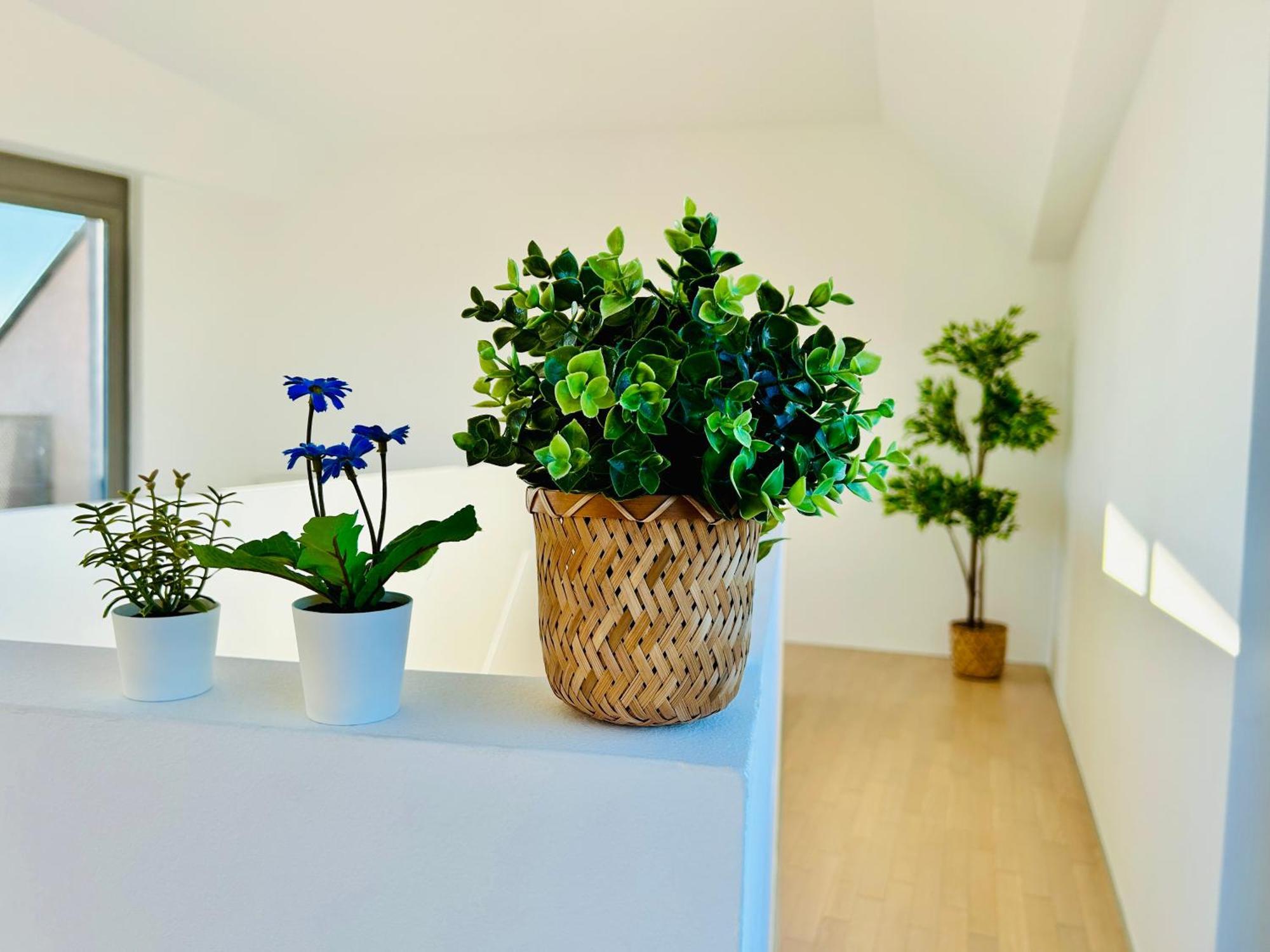 Premium 4 Bedroom Penthouse - Free Parking