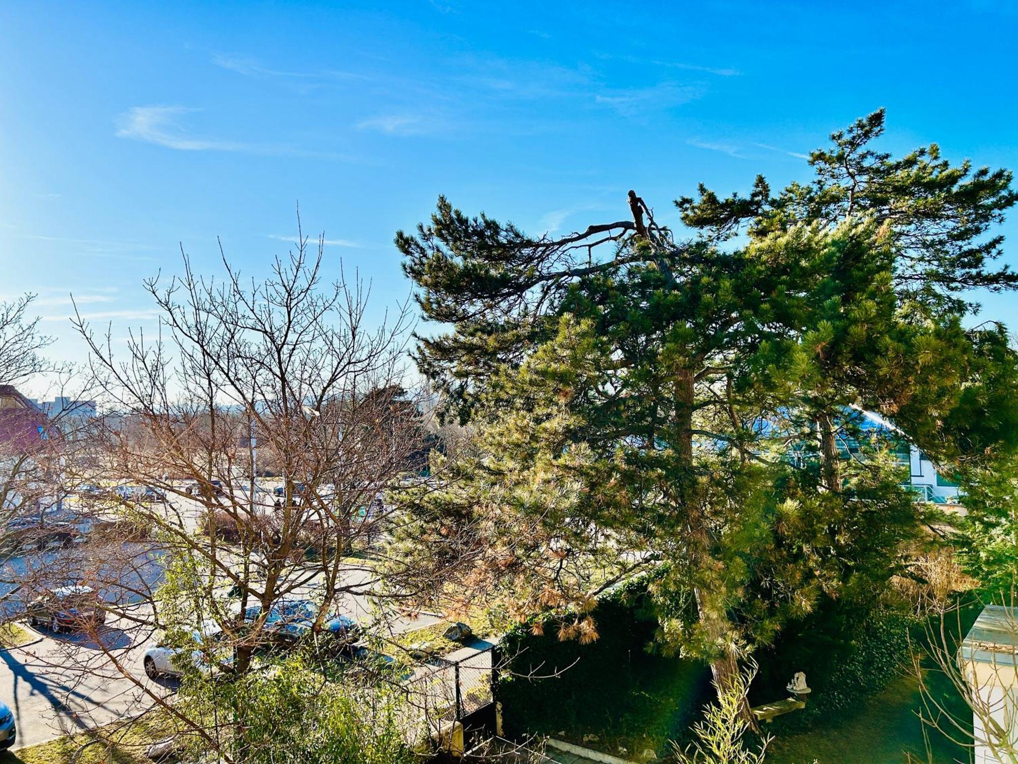 Premium 4 Bedroom Penthouse - Free Parking Apartment Vienna