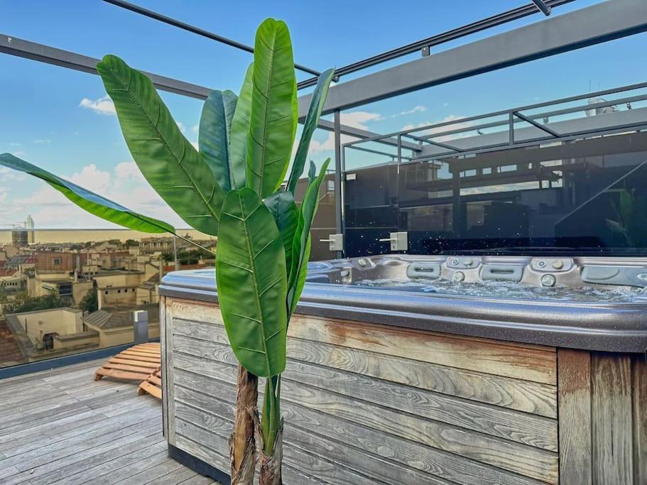Next To Augarten Penthouse Rooftop Terrace *