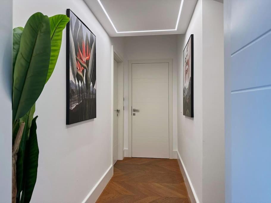 Next To Augarten Penthouse Rooftop Terrace Apartment Vienna