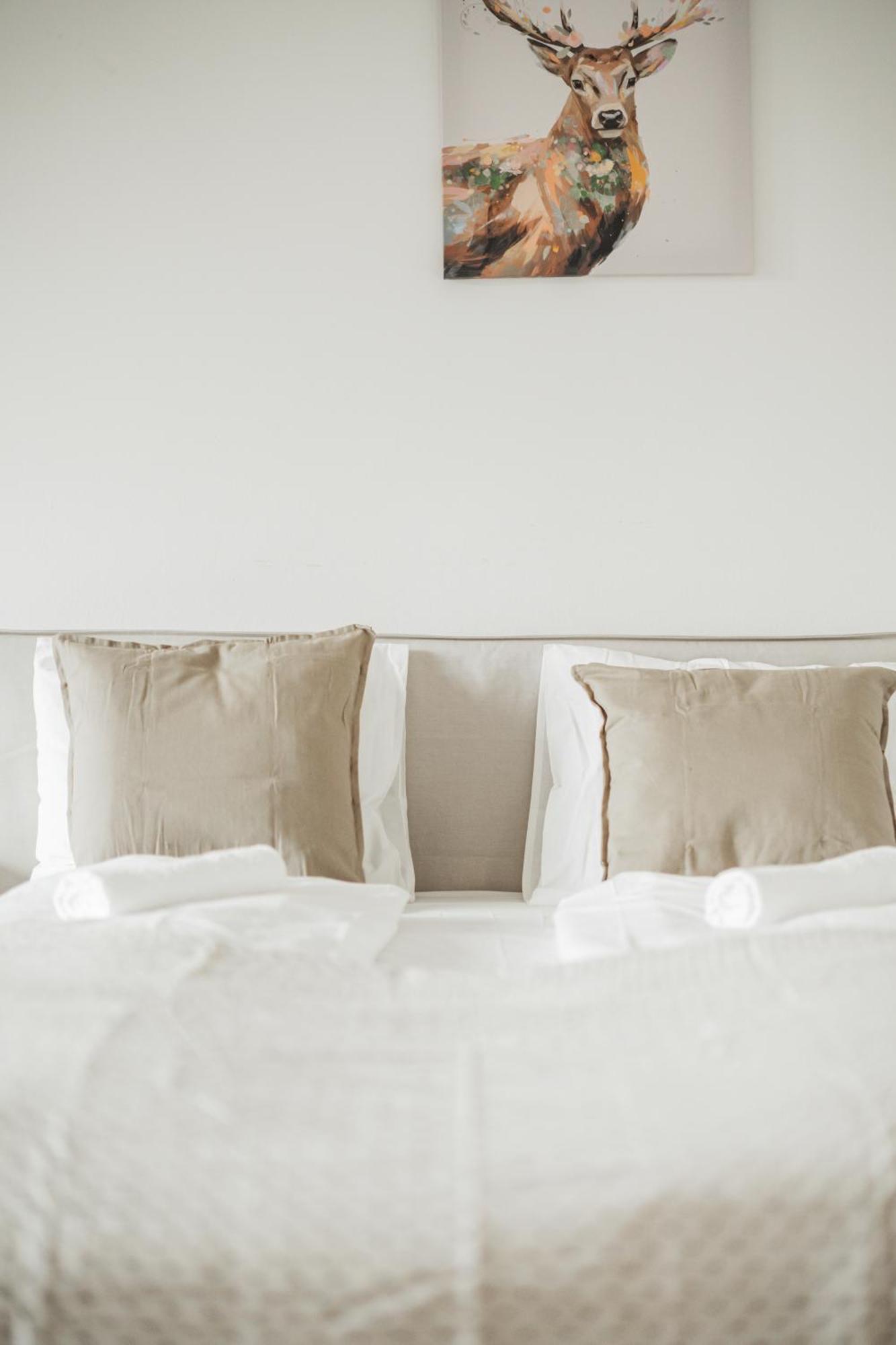 Apartment Gemuetliche 2-zimmer Im Herzen Wiens