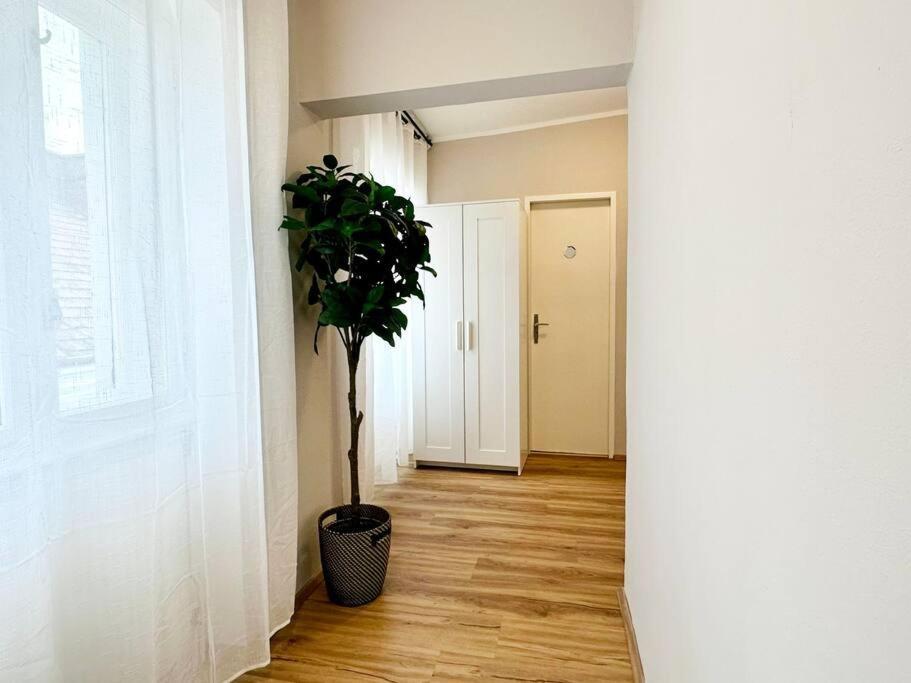 Appartamento Next To Shopping Street I 5 Minutes To Inner *