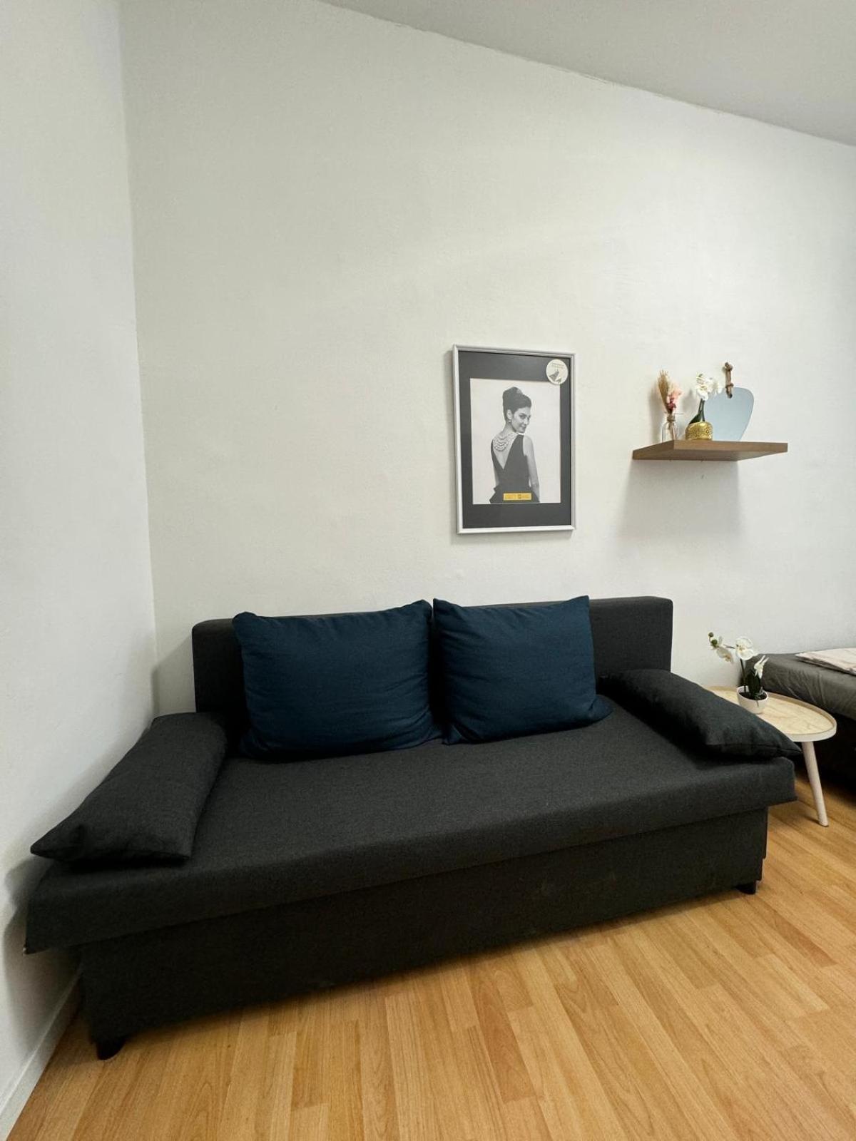Apartment Comfy In A Shared Apt, 8min To Rathausplatz Vienna