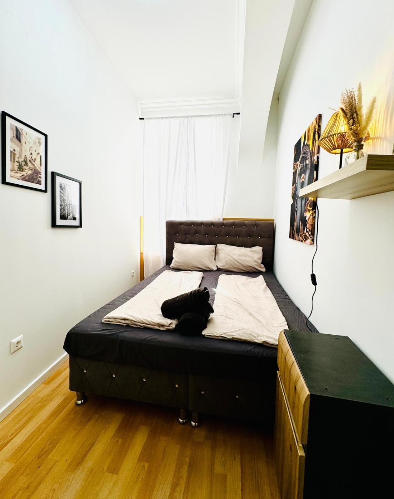 Apartment Comfy In A Shared Apt, 8min To Rathausplatz