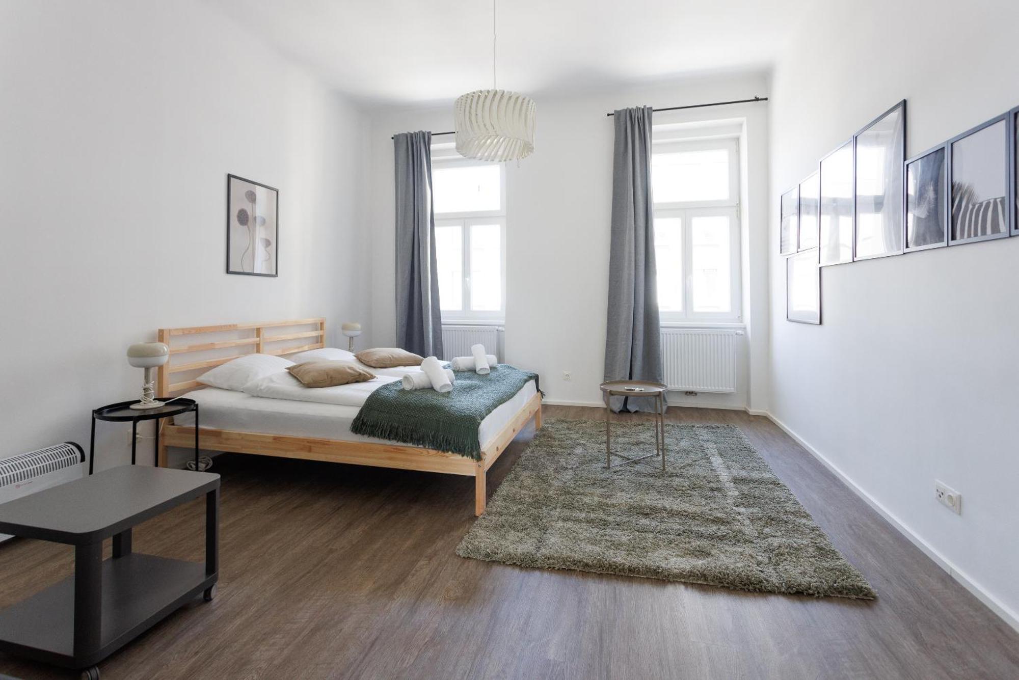 Apartment Grosszuegiges City-apartment *