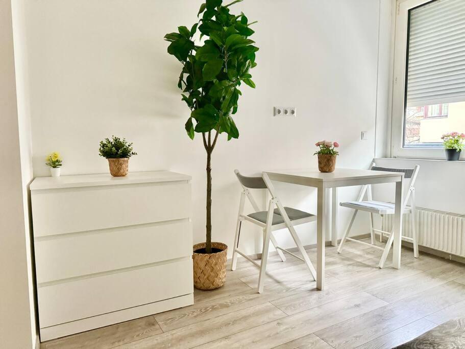 Apartment City Schoenbrunn Castle