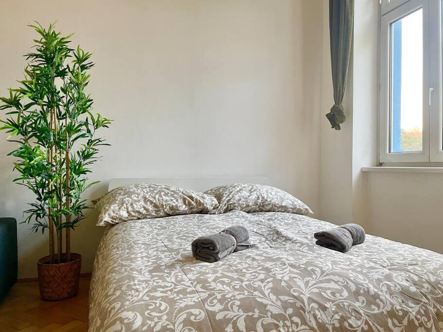 Long - Cozy - Apartment *