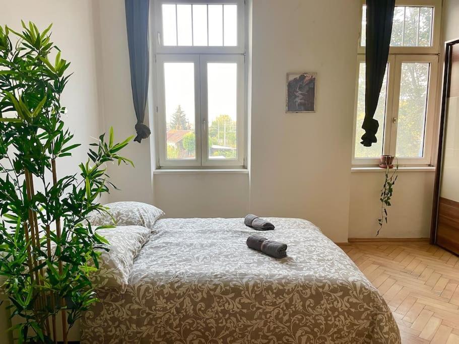 Apartment Long - Cozy - *