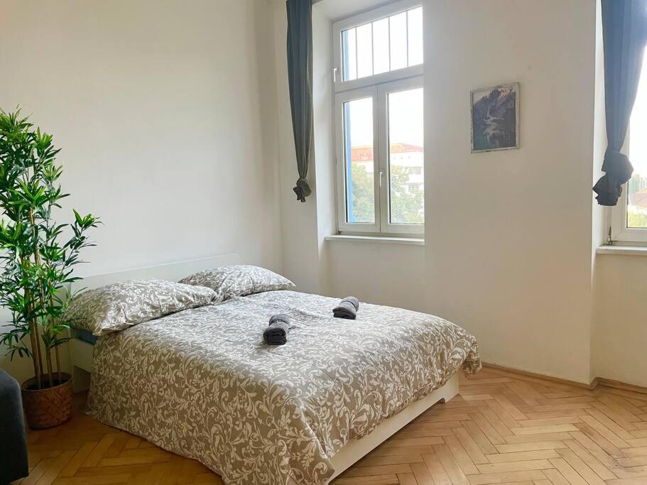 Apartment Long - Cozy - Vienna