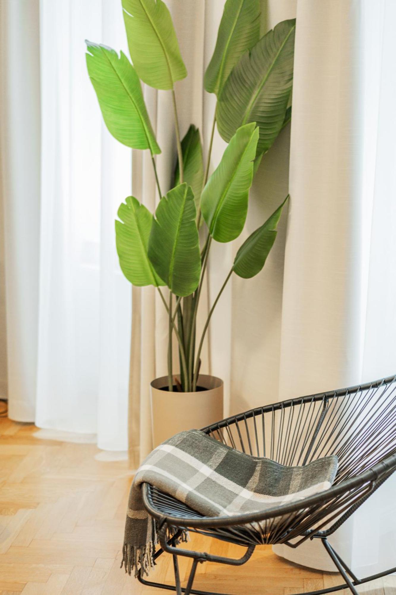Franz By Home1