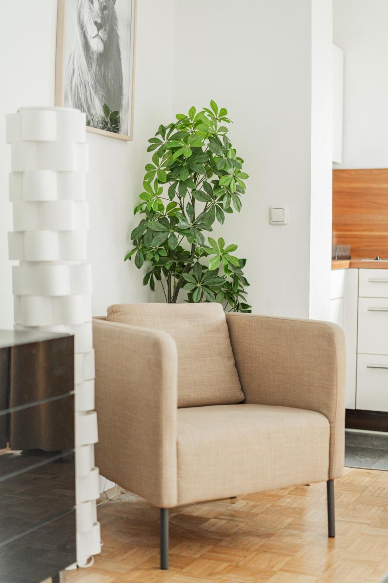 Apartment Next To Karlskirche
