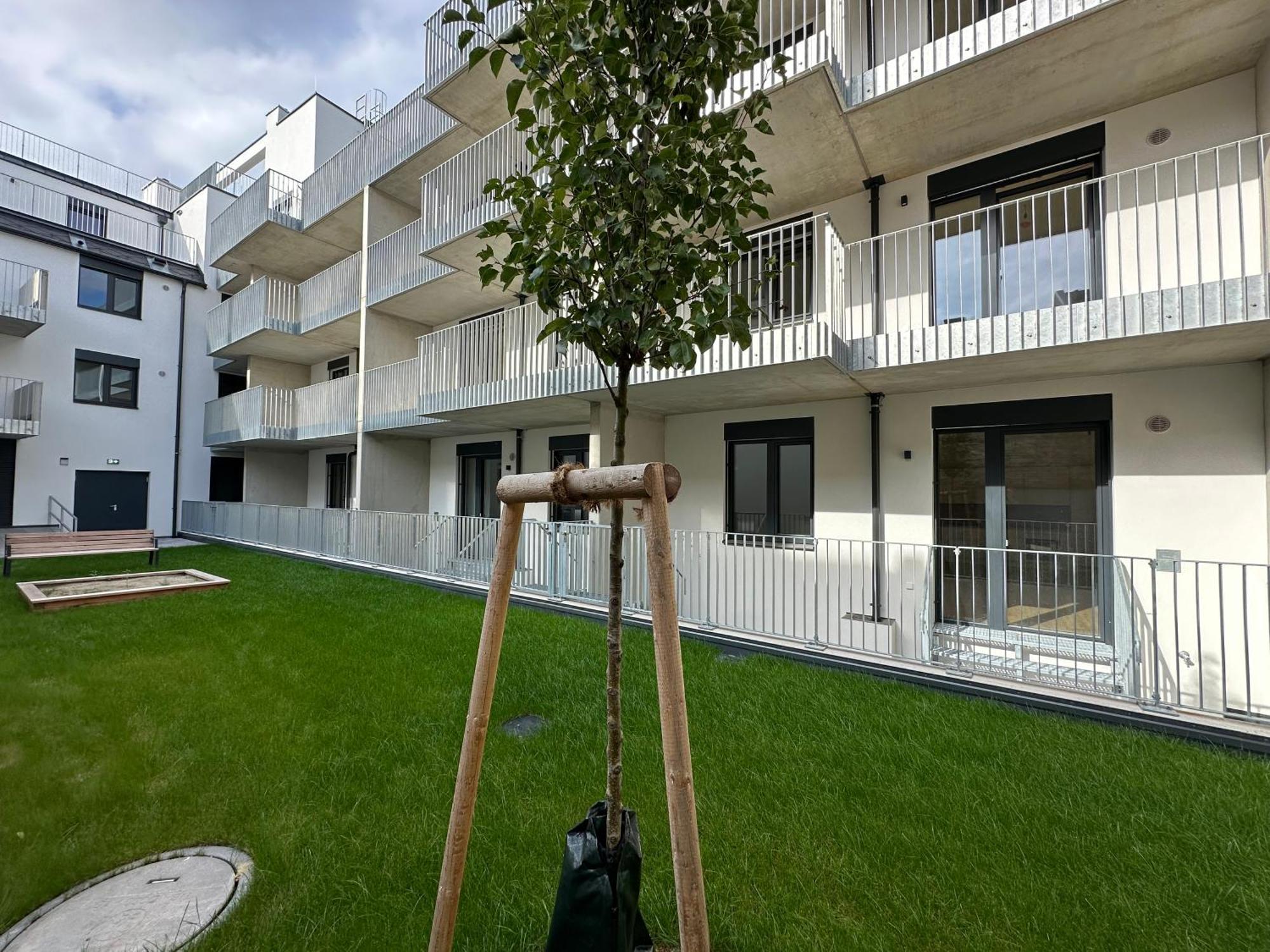 Apartment Schoenbrunn Garden Wien