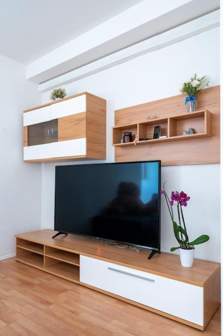 Spacious Stone Belvedere Apartment *