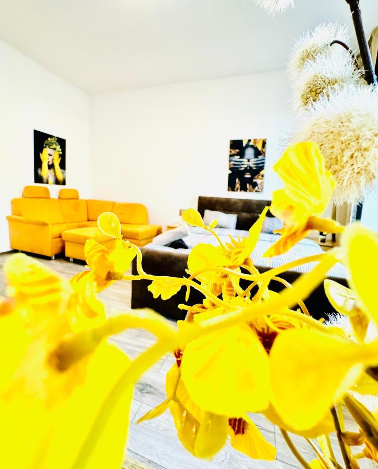 Comfy 3br In A Shared Apt, 10min To Fac Platz Wien
