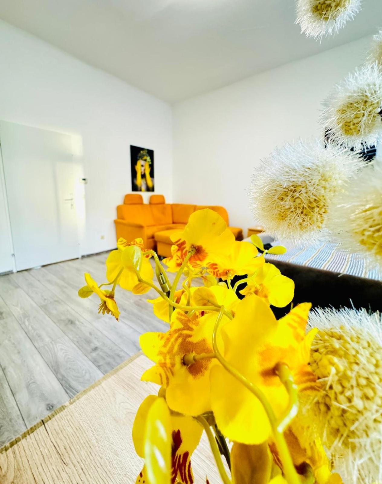 Comfy 3br In A Shared Apt, 10min To Fac Platz Apartment