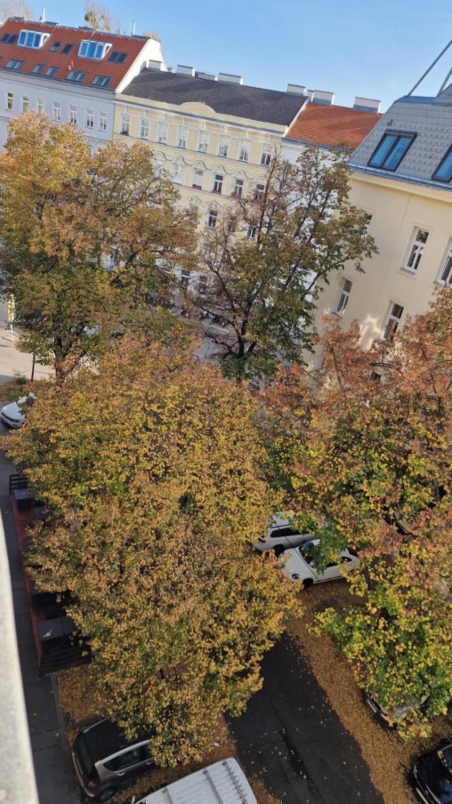 Apartment Messe-wien Luminous Flat Vienna