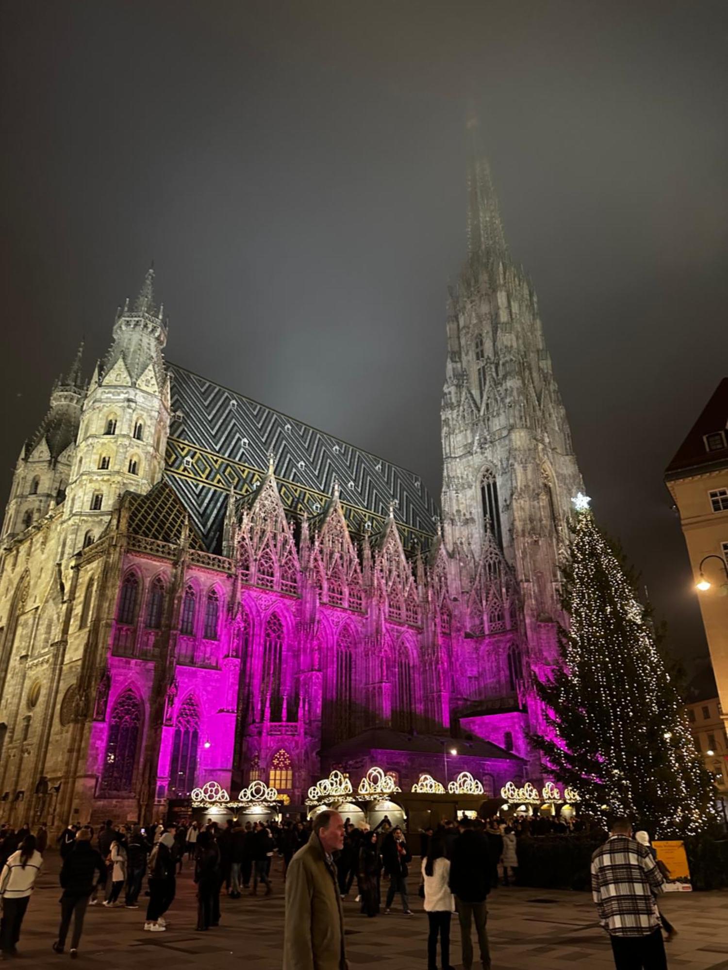 Modern In The Heart Of - Steps From The Opera * Vienna
