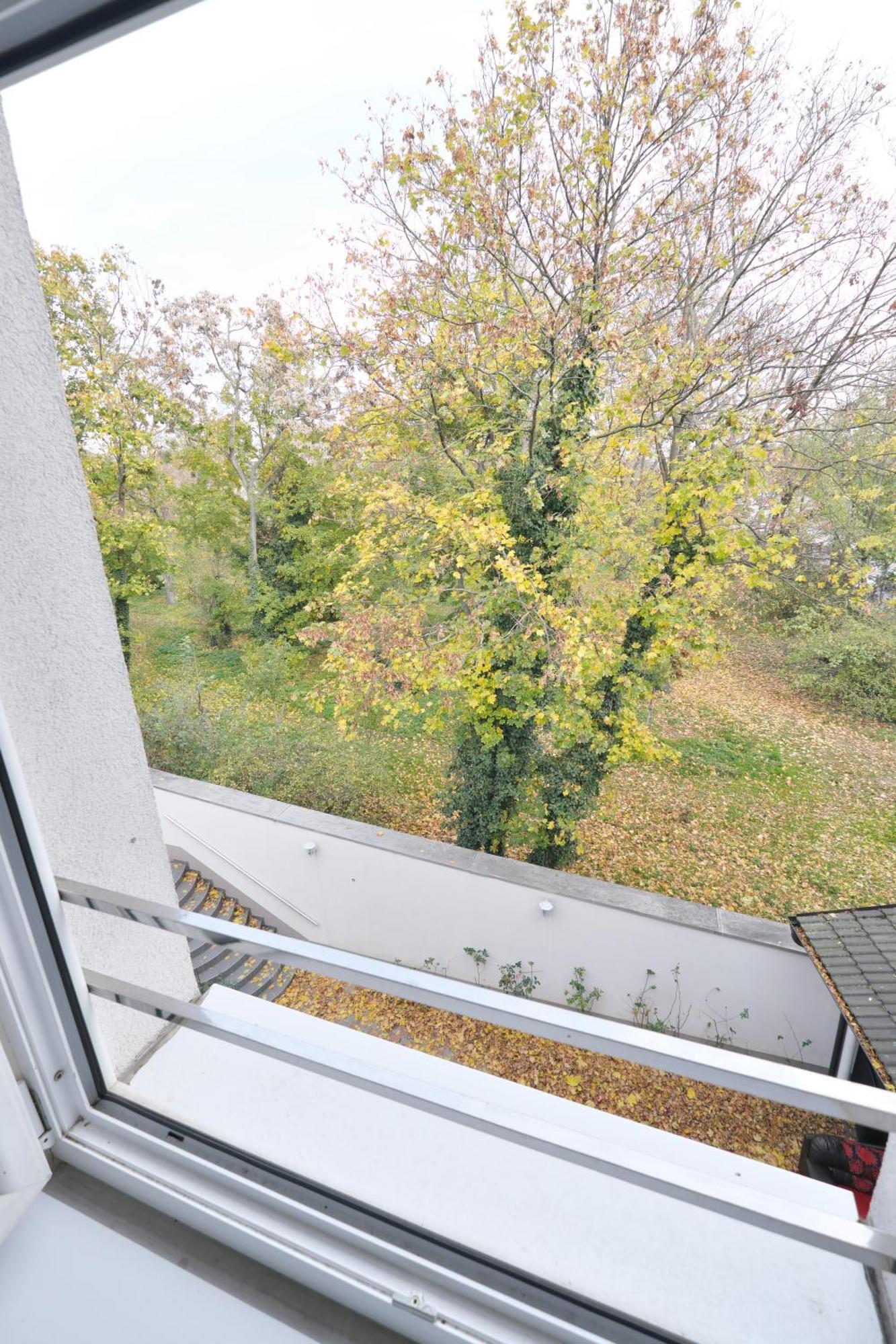 Apartamento Schoenbrunn *