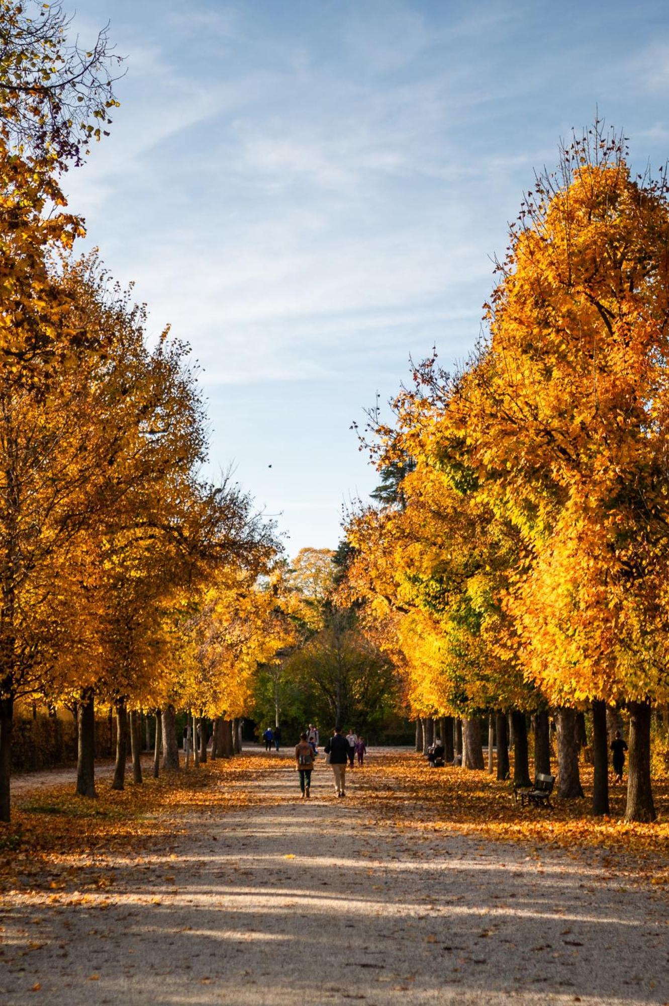 Weltwien Luxury Art & Free Parking 4* Vienna