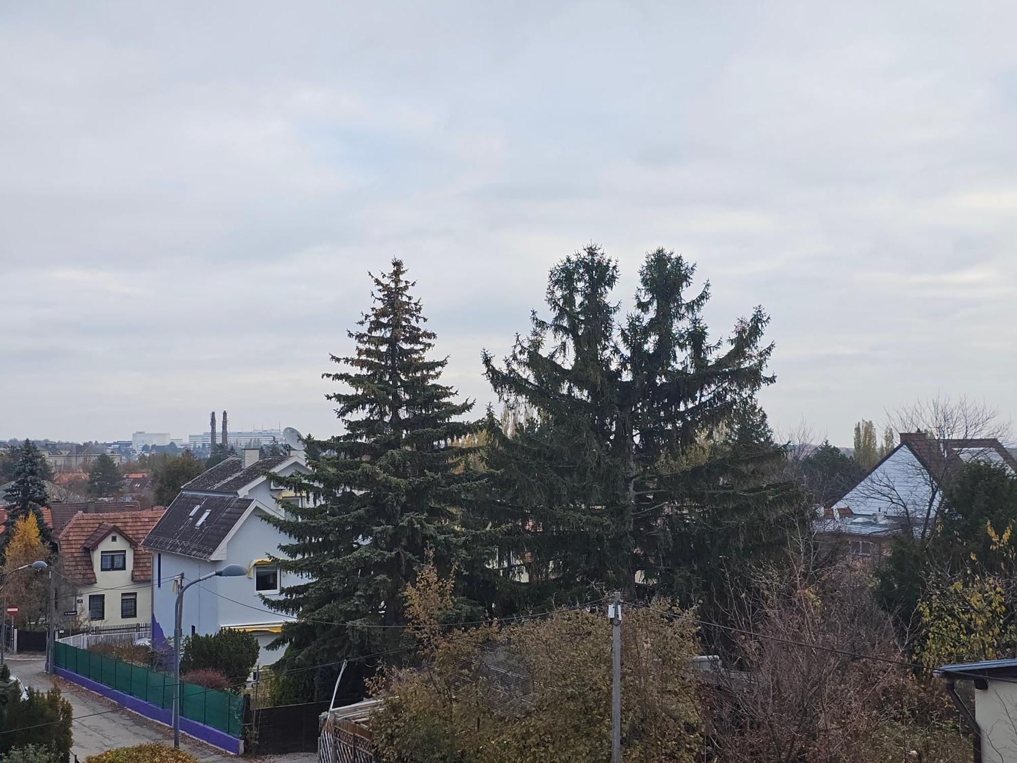 Gasthof Steffens Panta Rhei Wien
