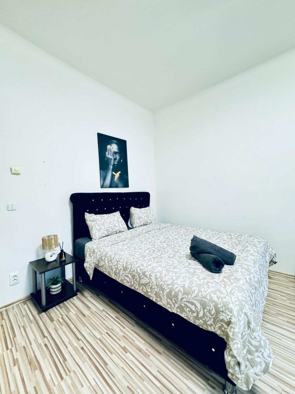 Affordable 2br Apartment, Close To Danube River Apartment Vienna