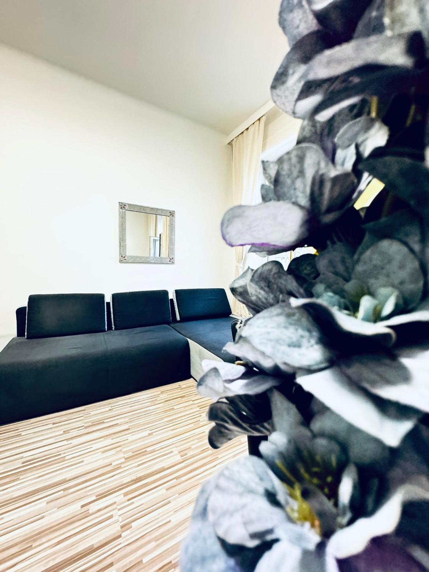 Affordable 2br Apartment, Close To Danube River Apartment Vienna
