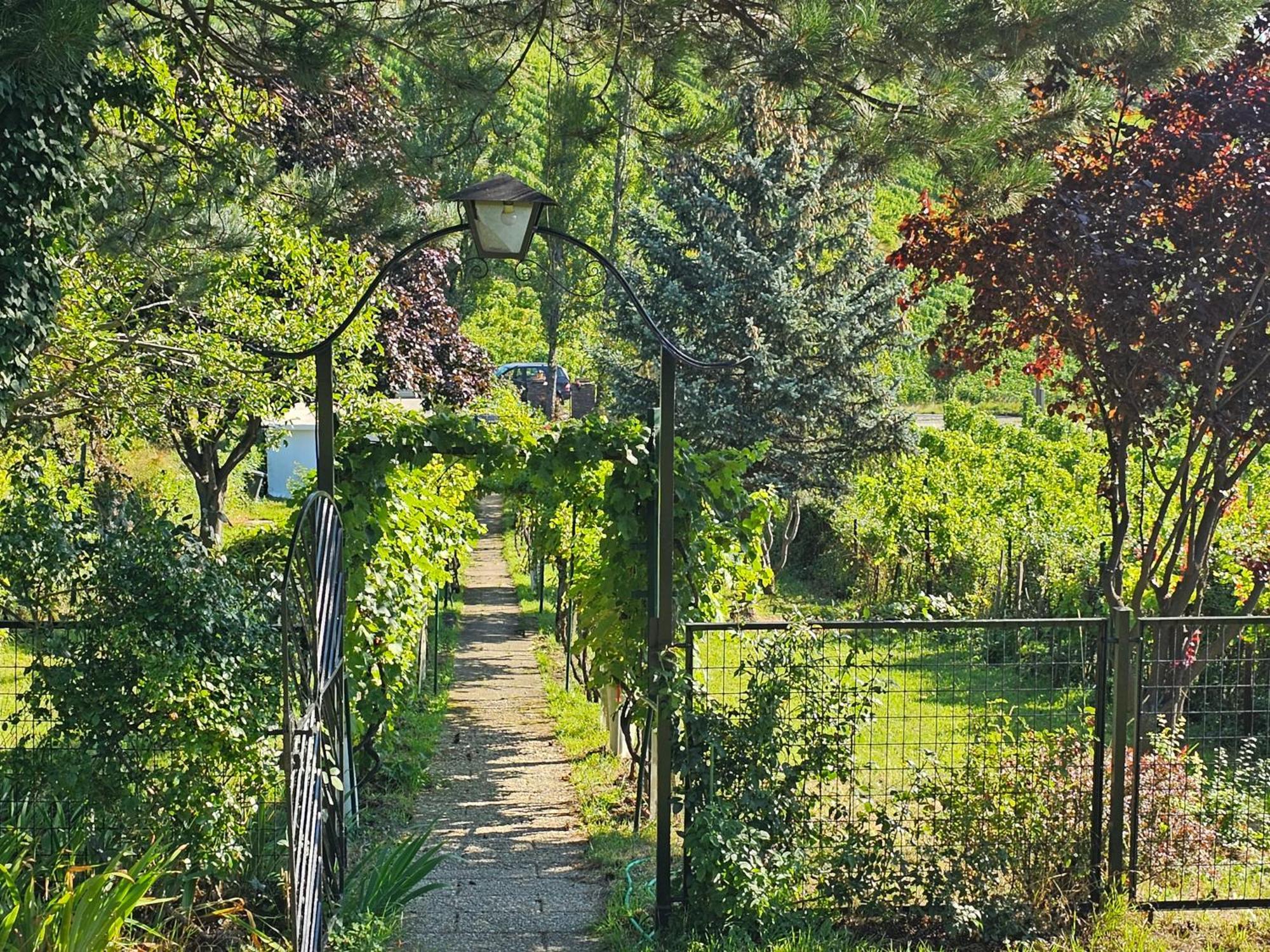 Wine Garden House Holiday home Vienna