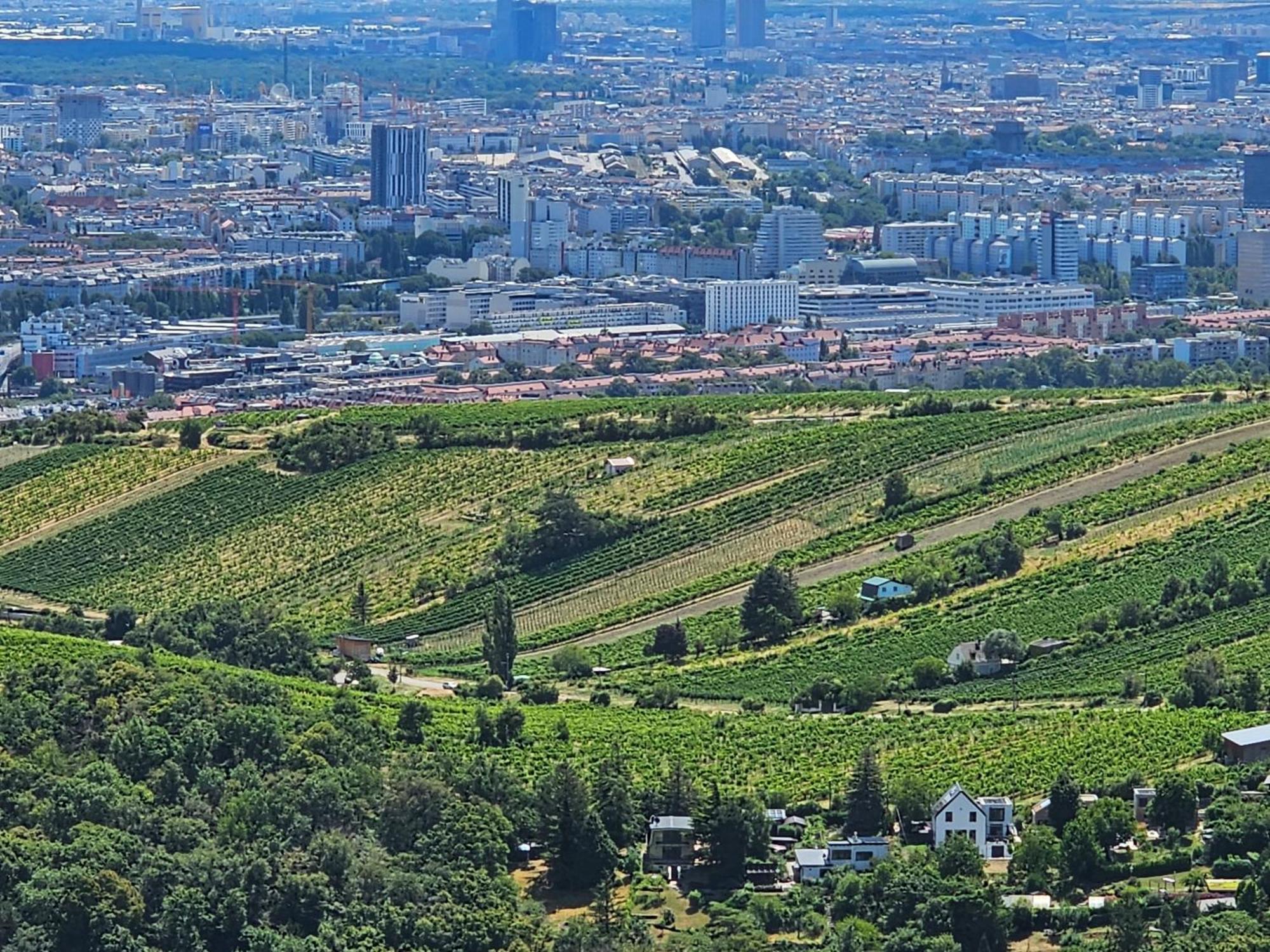 Wine Garden House Holiday home Vienna