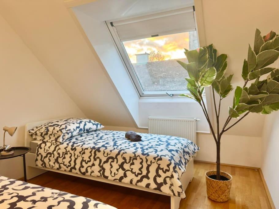 Apartment Spacious Rooftop With Balcony