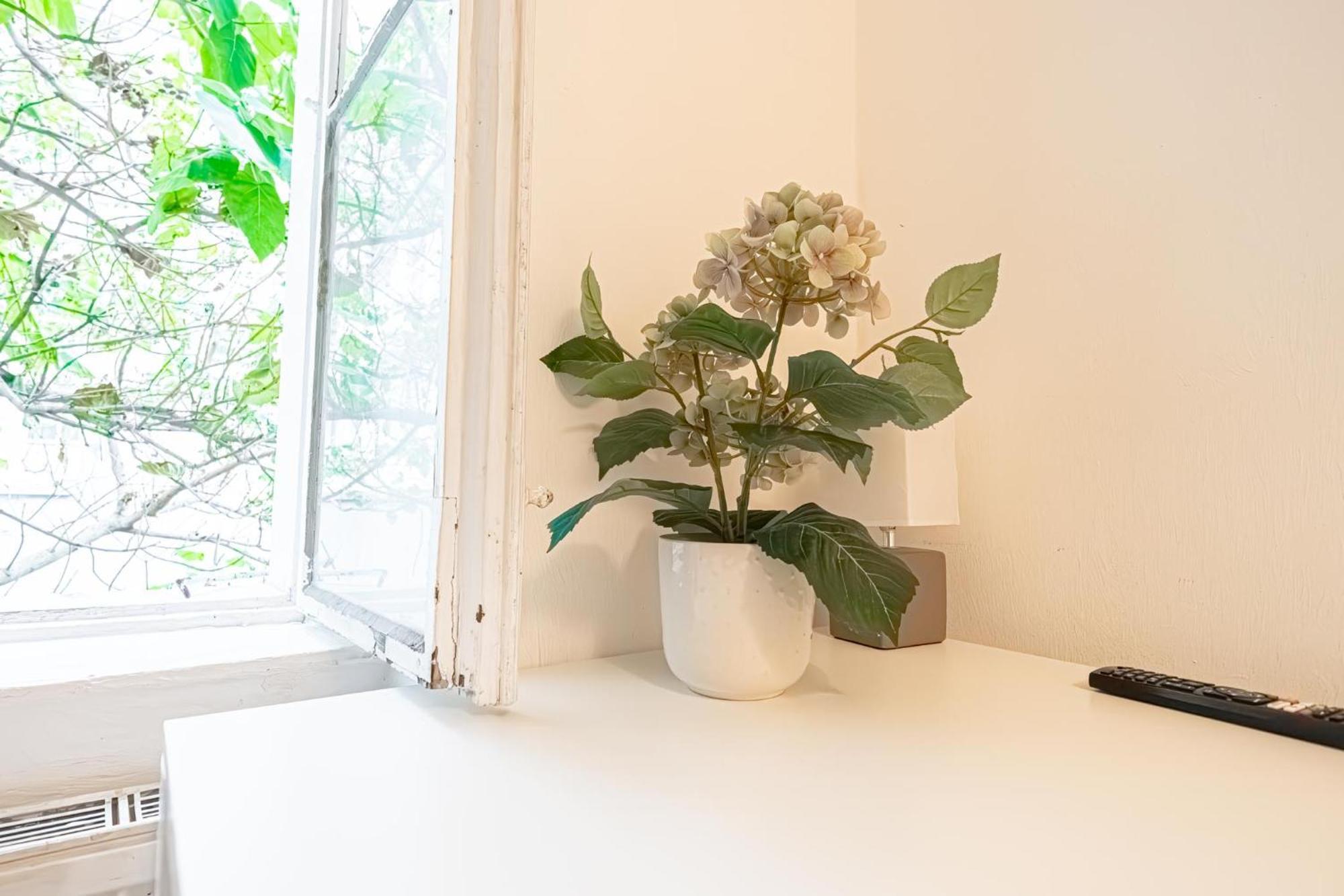 Apartment Central Belvedere 3br Shared - 12 Min From City Center