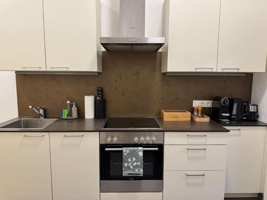Neu! Im Stadtzentrum 4 Apartamento Viena