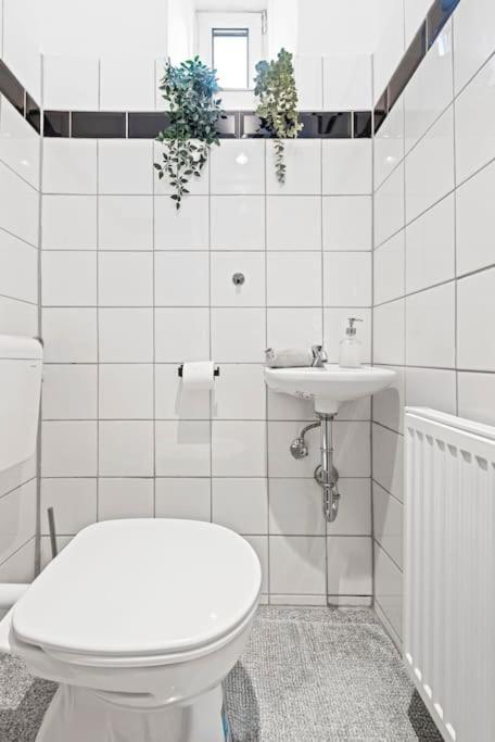 Stylish & Modern Viennese Vienna