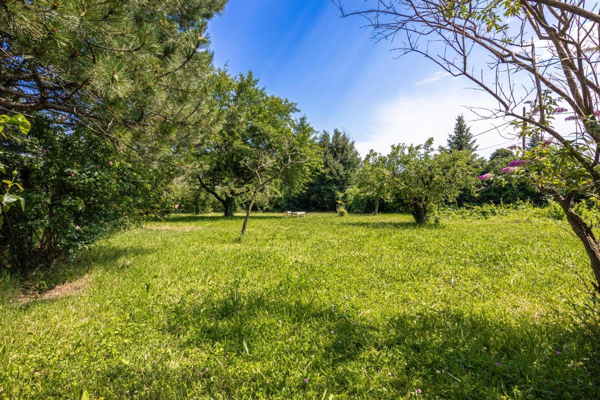 Comfy In Shared With Terrace And Garden Ostello