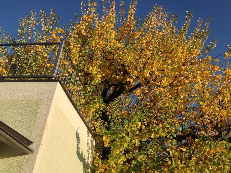 Ajo Garden - Contactless Check-in Vienna