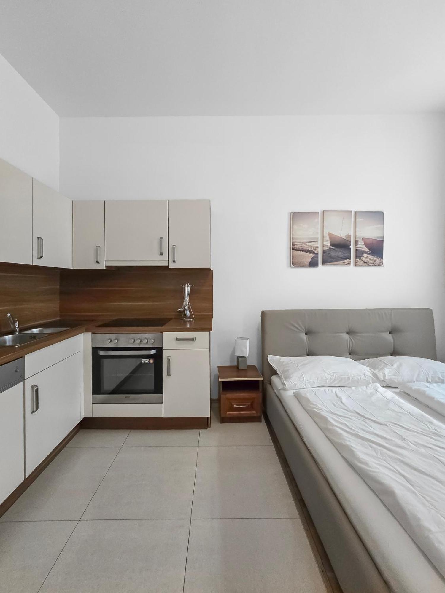 Charming One-bedroom Near Millennium Apartment Vienna