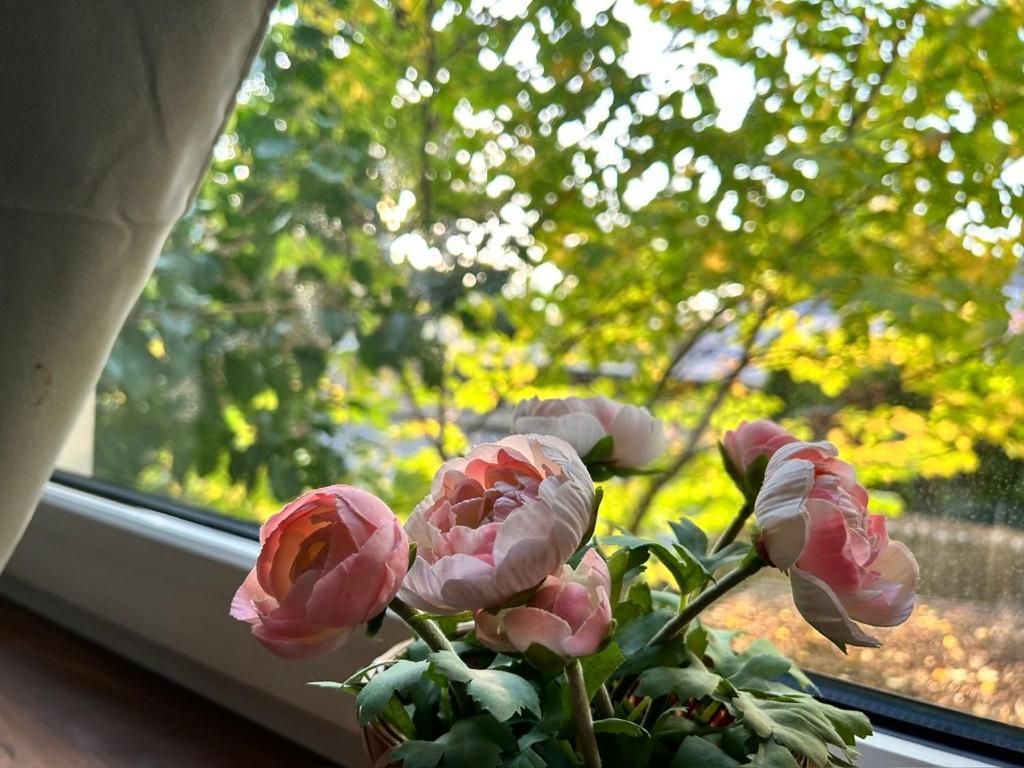Apartment Prime Near Schoenbrunn Castle *