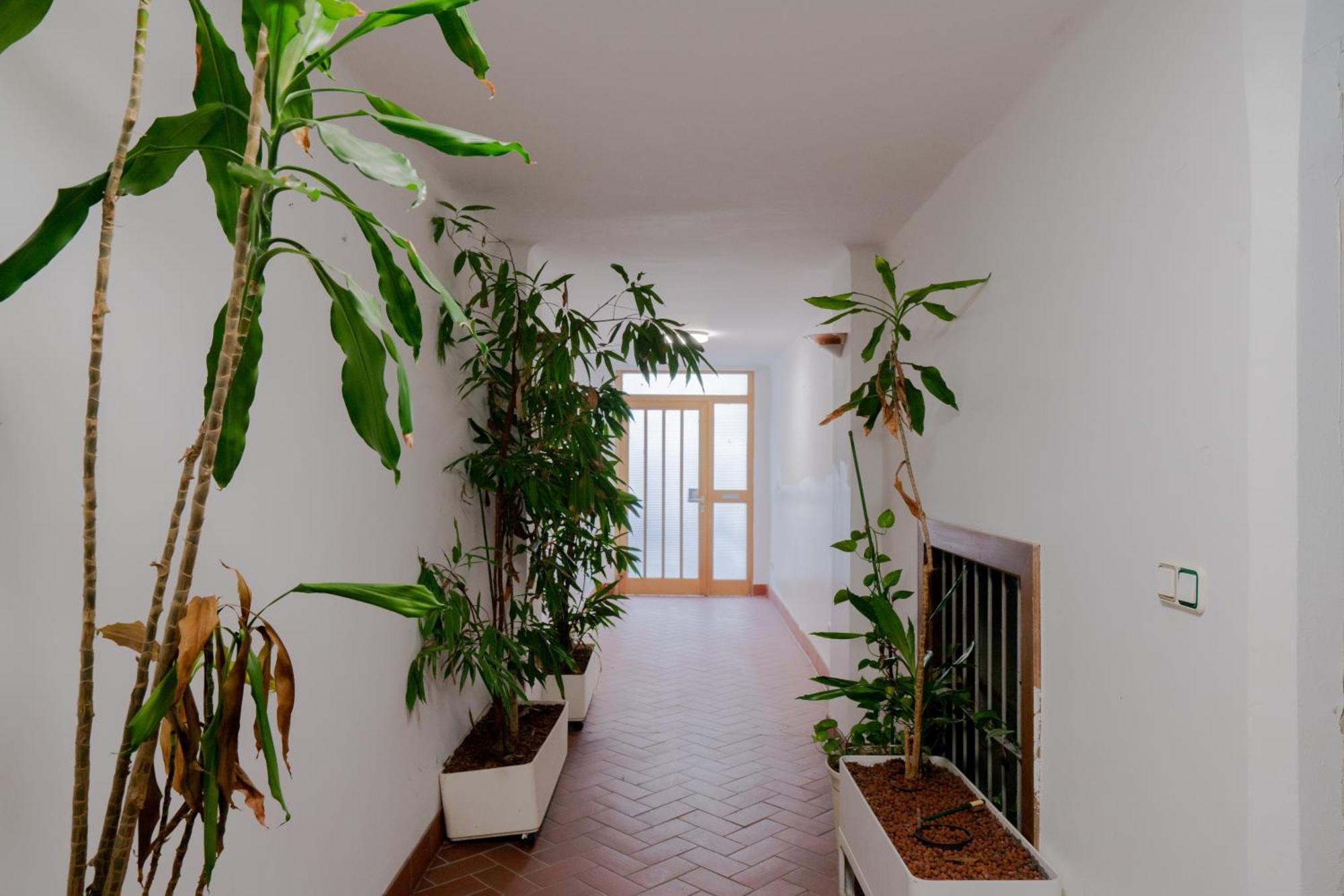 Casa vacanze Bessemer - Charming With Garden Vienna