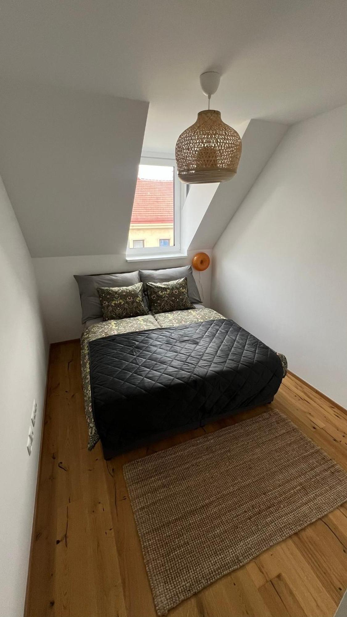 Apartment Ortnergasse Vienna