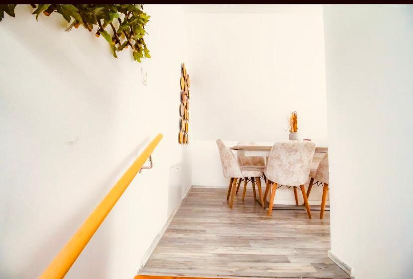 Central 4br Shared With Terrace 10-min Walk To Augarten