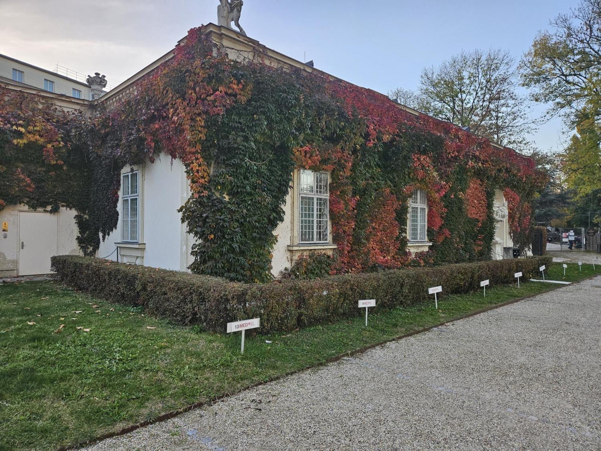 Mauthaus Lichtenstein Aparthotel *