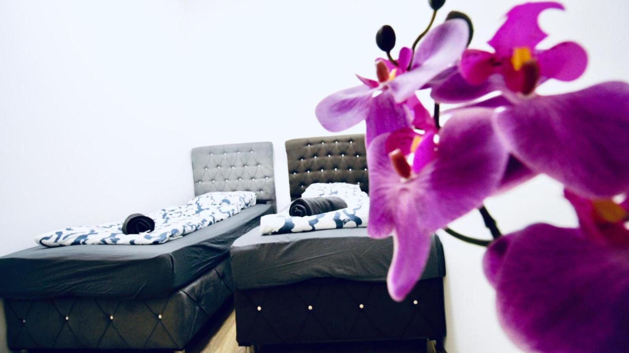 Cozy 2br Ideal For Families & Long Apartment *
