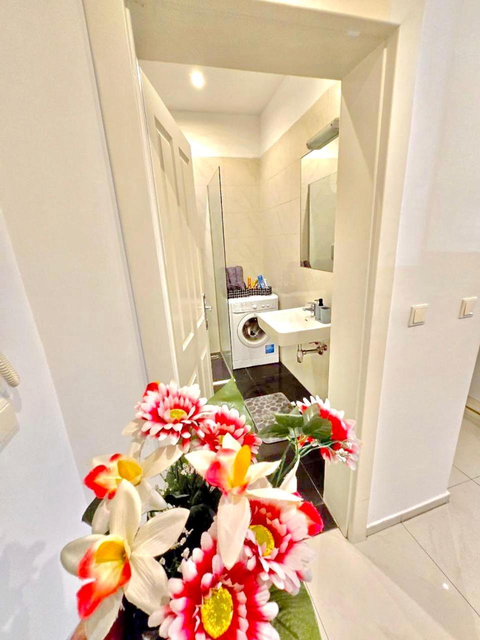 Apartment - Brigittenau Area Mm6