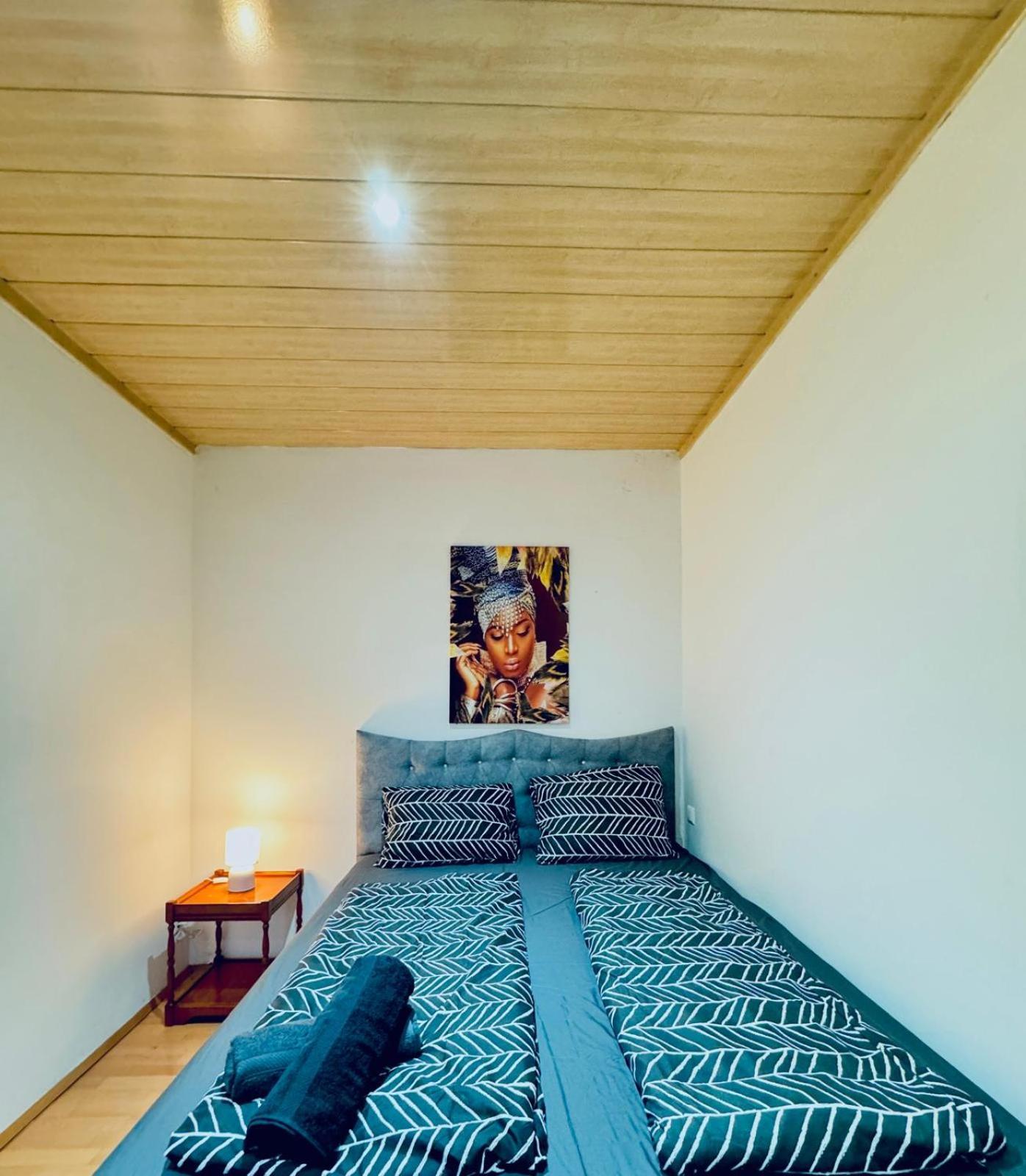 Apartment Cozy 4br For Up To 12people, 10minutes To Fac Platz Vienna