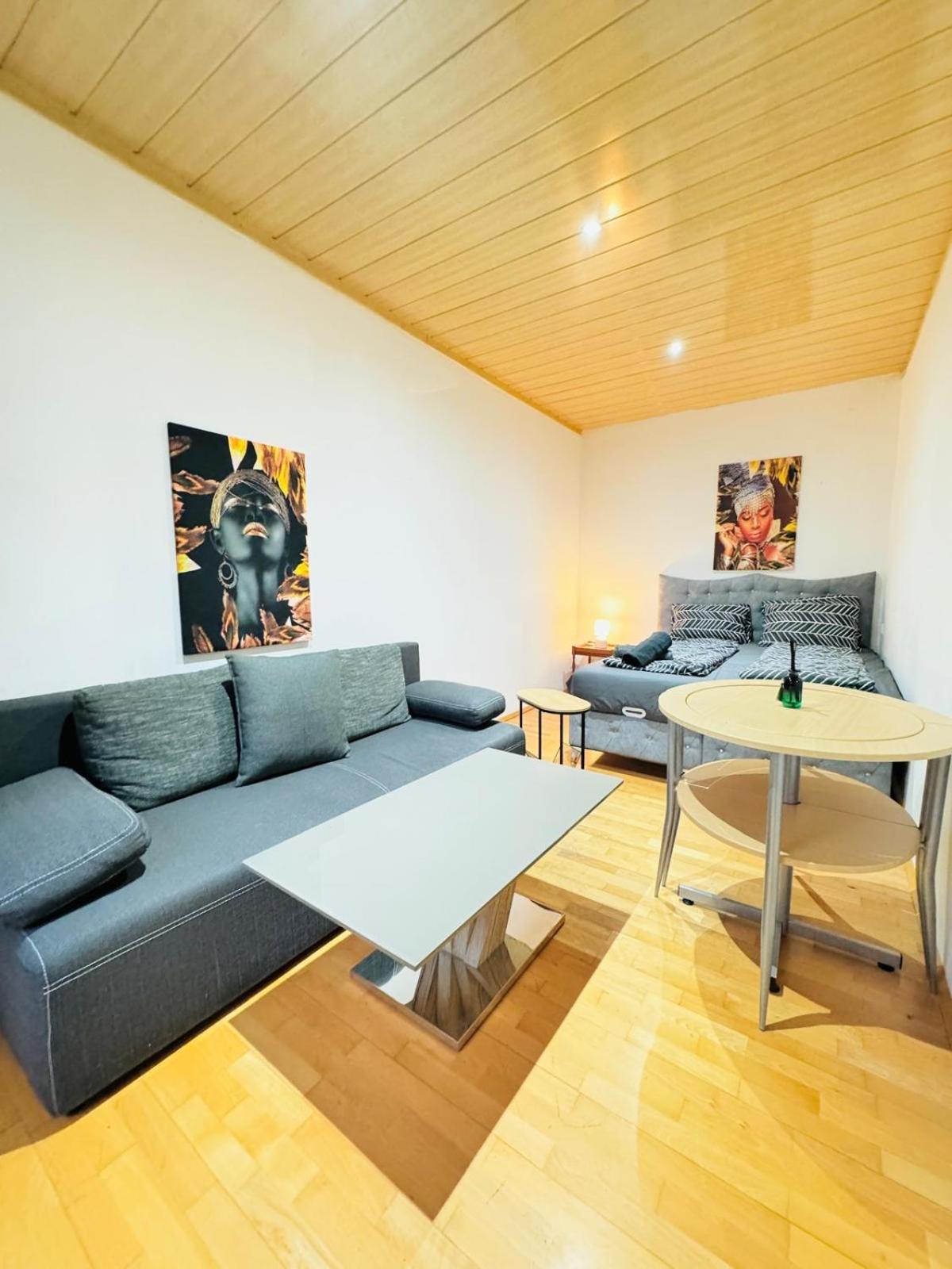 Apartment Cozy 4br For Up To 12people, 10minutes To Fac Platz *
