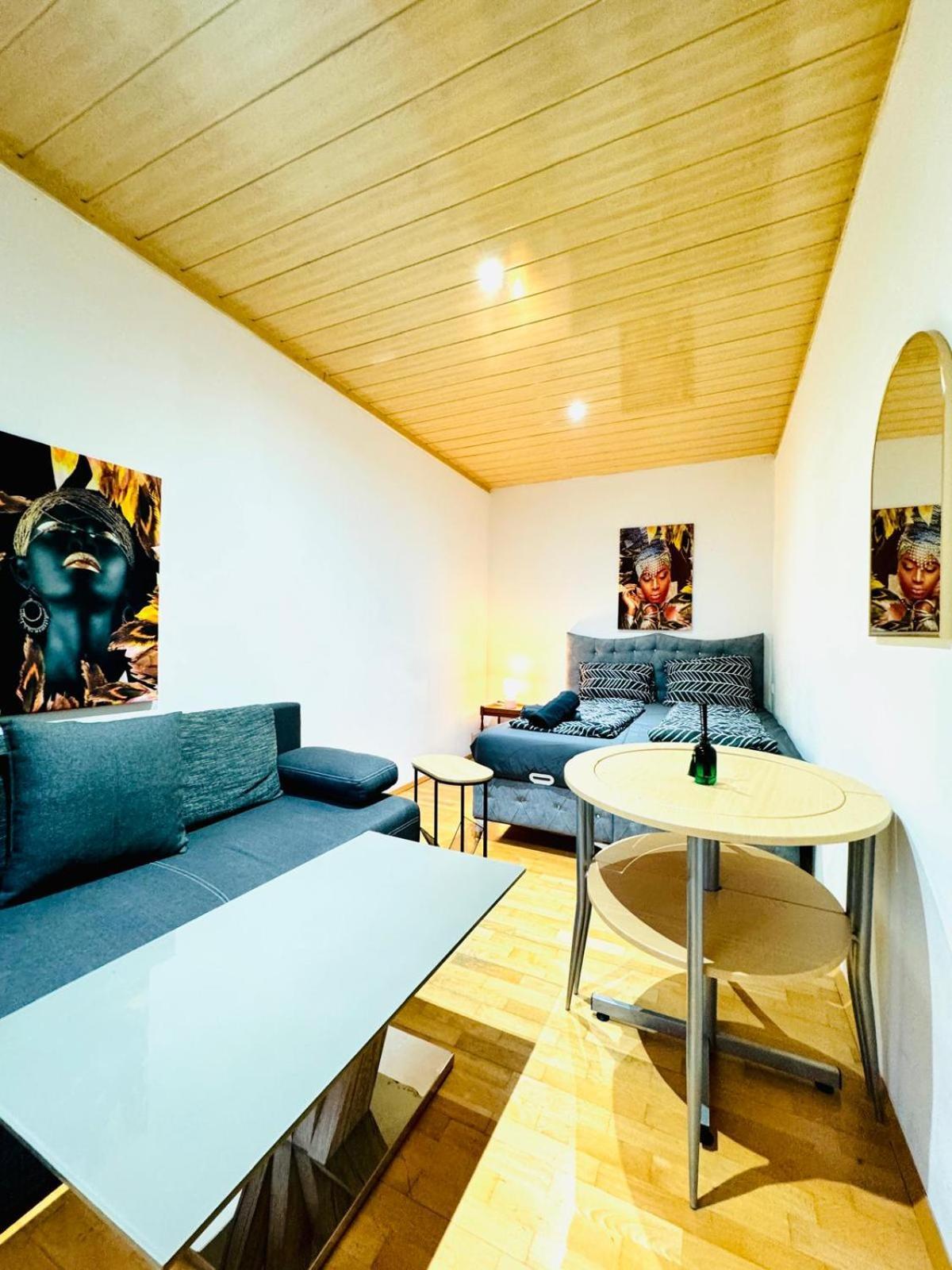Cozy 4br For Up To 12people, 10minutes To Fac Platz Vienna