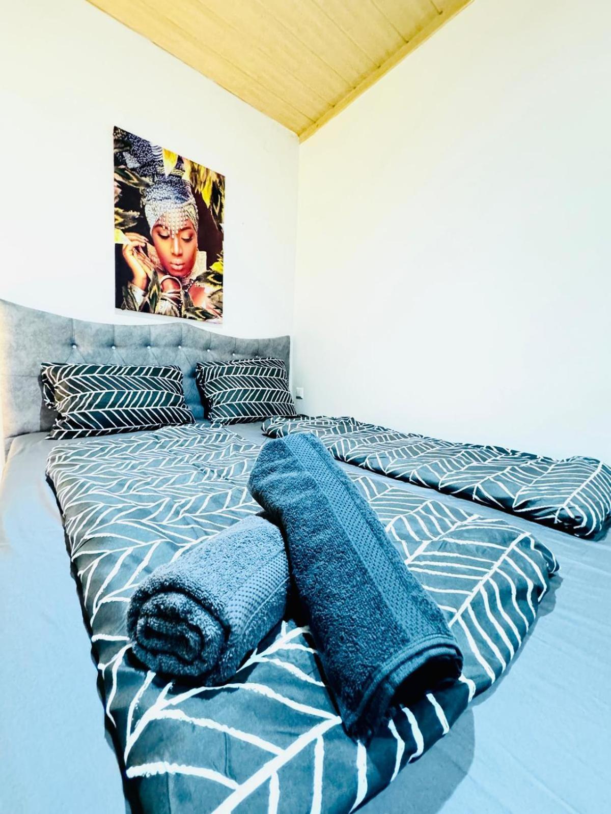 Cozy 4br For Up To 12people, 10minutes To Fac Platz Apartment Vienna
