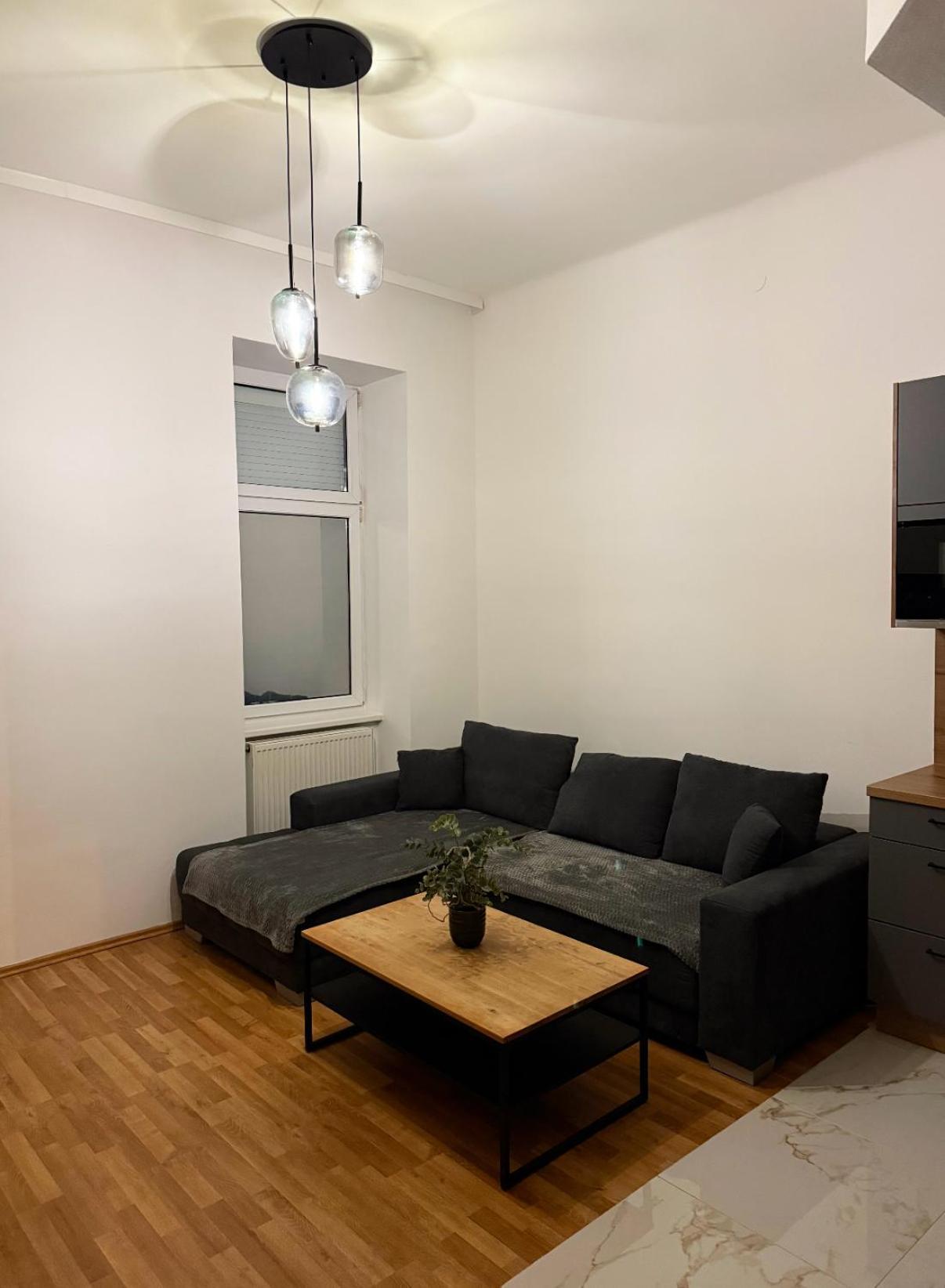 In 1030 Apartment Vienna